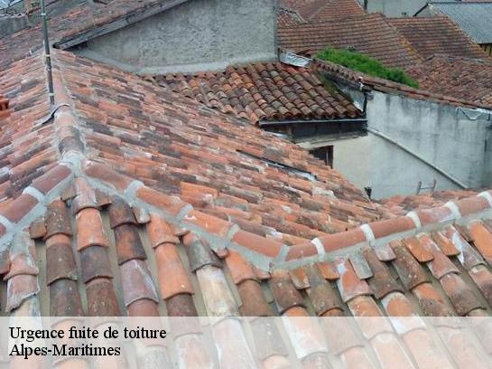 Urgence fuite de toiture Alpes-Maritimes 