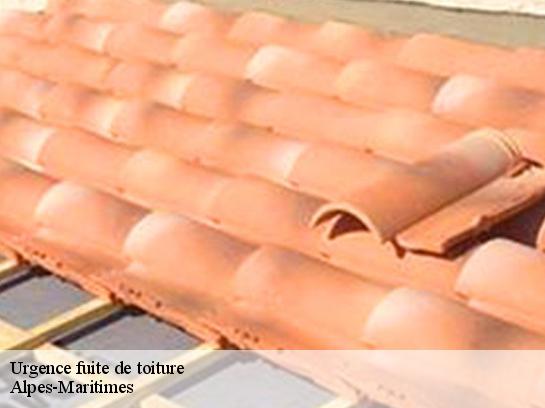 Urgence fuite de toiture Alpes-Maritimes 