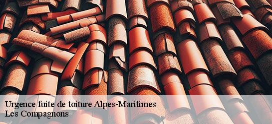 Urgence fuite de toiture Alpes-Maritimes