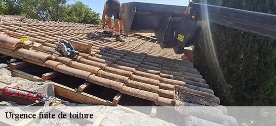 Urgence fuite de toiture Alpes-Maritimes