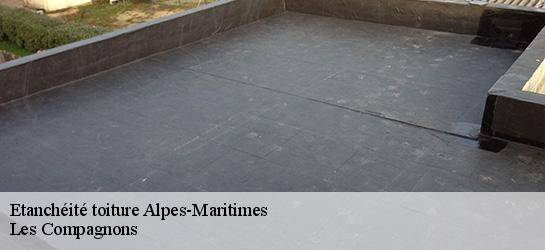 Etanchéité toiture Alpes-Maritimes