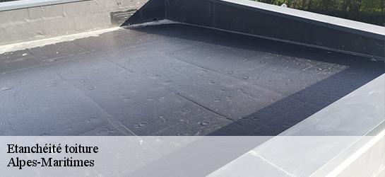 Etanchéité toiture Alpes-Maritimes