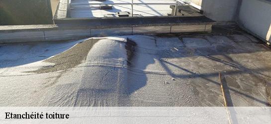 Etanchéité toiture Alpes-Maritimes