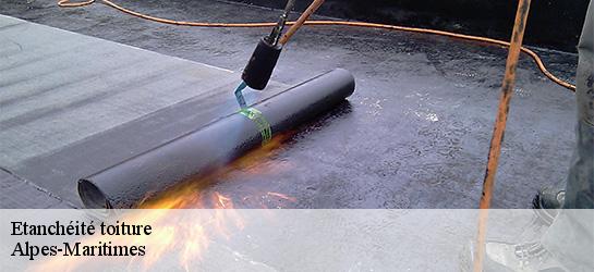 Etanchéité toiture Alpes-Maritimes