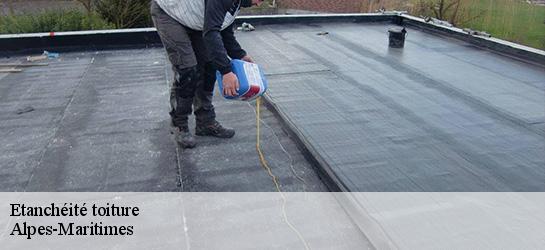 Etanchéité toiture Alpes-Maritimes
