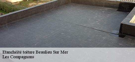 Etanchéité toiture  06310