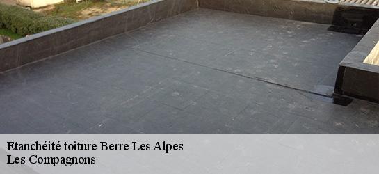 Etanchéité toiture  06390