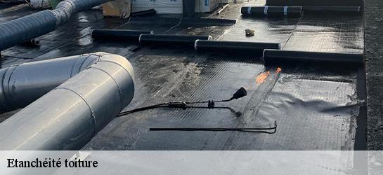 Etanchéité toiture  06320