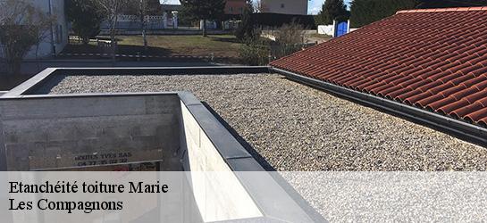 Etanchéité toiture  06420