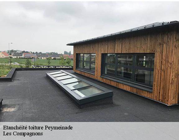 Etanchéité toiture  peymeinade-06530 Les Compagnons 
