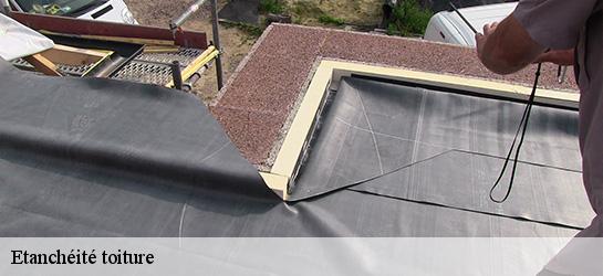 Etanchéité toiture 06550