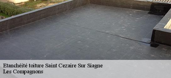 Etanchéité toiture  06780