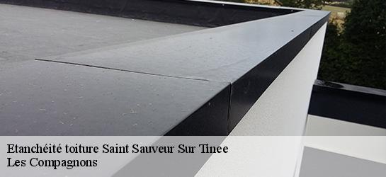 Etanchéité toiture 06420