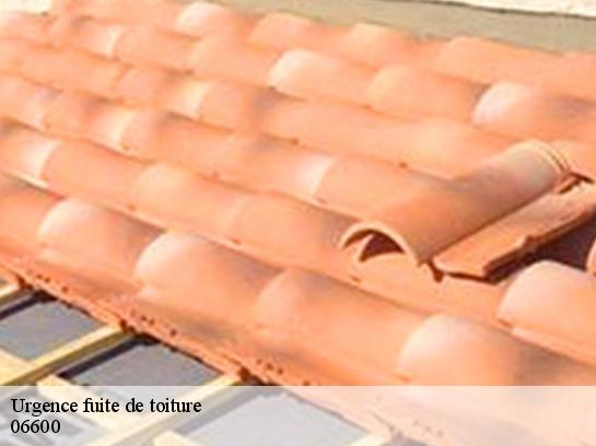 Urgence fuite de toiture  06600