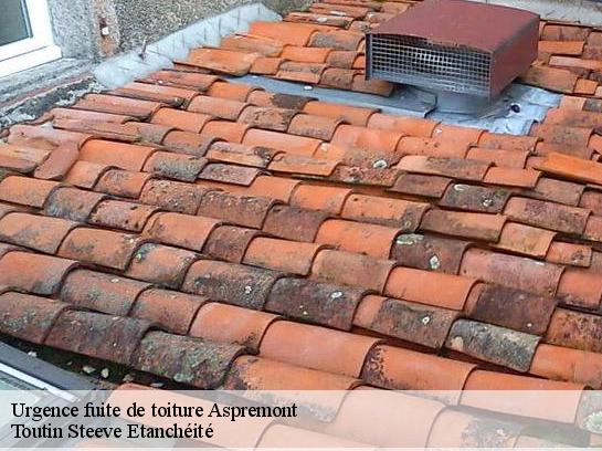 Urgence fuite de toiture  06790