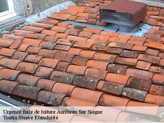 Urgence fuite de toiture  06810