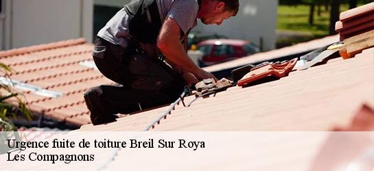 Urgence fuite de toiture 06540