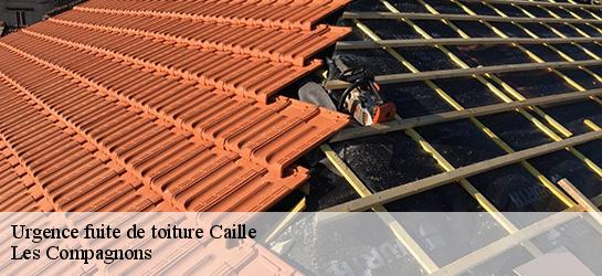 Urgence fuite de toiture 06750