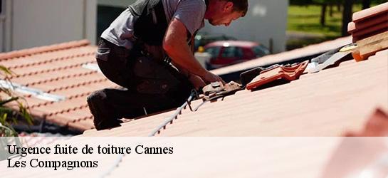 Urgence fuite de toiture  06400