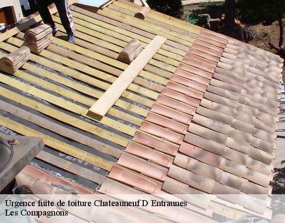 Urgence fuite de toiture  chateauneuf-d-entraunes-06470 Les Compagnons 