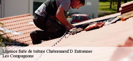 Urgence fuite de toiture  06470