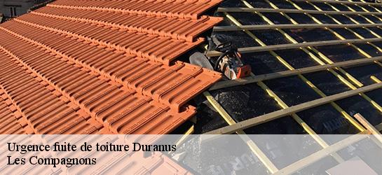 Urgence fuite de toiture  06670