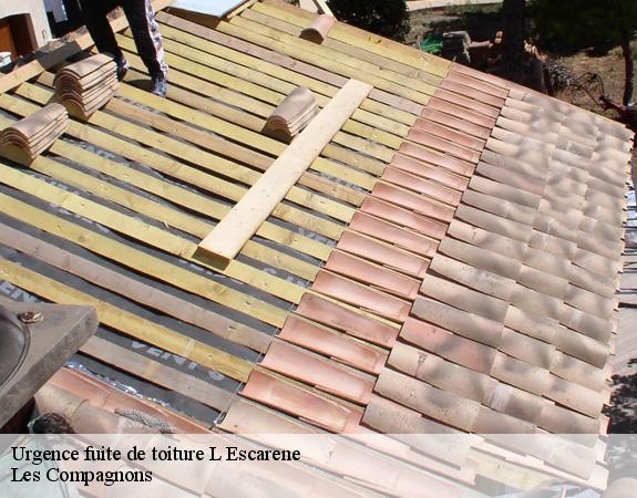 Urgence fuite de toiture  l-escarene-06440 Les Compagnons 
