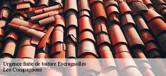 Urgence fuite de toiture  06460