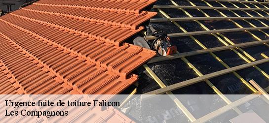 Urgence fuite de toiture 06950