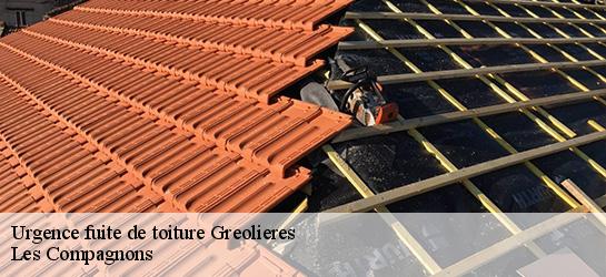 Urgence fuite de toiture  06620