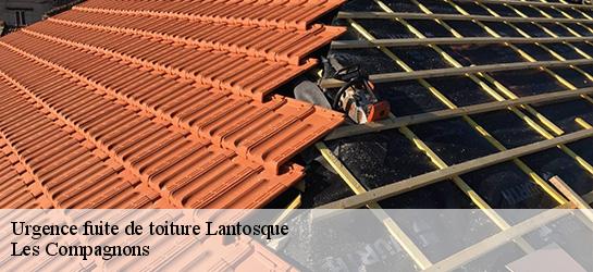 Urgence fuite de toiture  06450