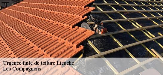 Urgence fuite de toiture  06260