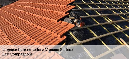 Urgence fuite de toiture 06370