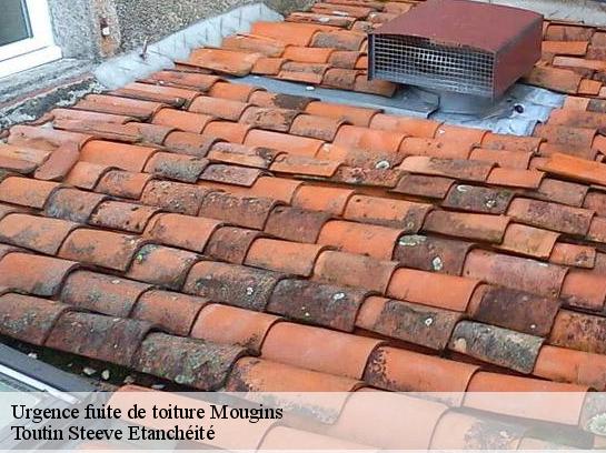 Urgence fuite de toiture  06250