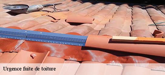 Urgence fuite de toiture  06380