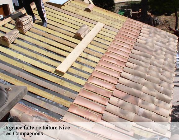 Urgence fuite de toiture  nice-06000 Les Compagnons 