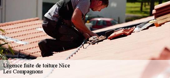 Urgence fuite de toiture  06000