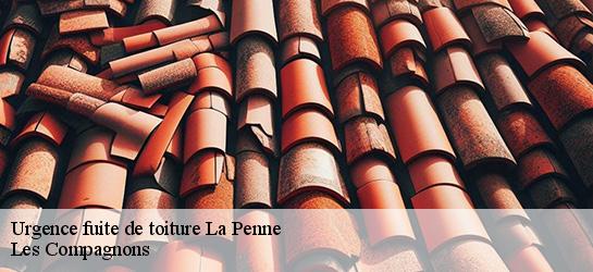 Urgence fuite de toiture 06260