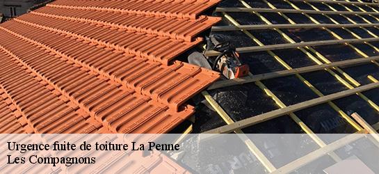 Urgence fuite de toiture 06260