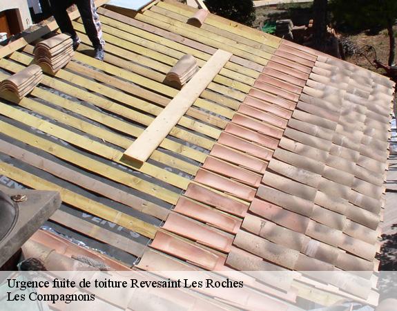 Urgence fuite de toiture  revesaint-les-roches-06830 Les Compagnons 