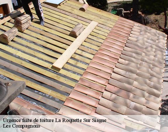 Urgence fuite de toiture  la-roquette-sur-siagne-06550 Les Compagnons 