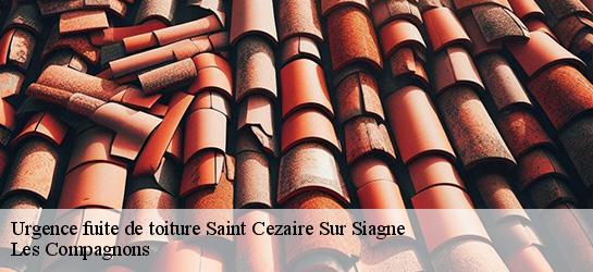 Urgence fuite de toiture  06780