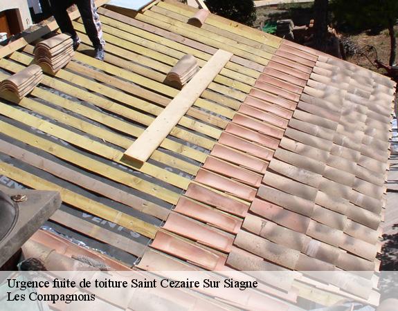 Urgence fuite de toiture  saint-cezaire-sur-siagne-06780 Les Compagnons 
