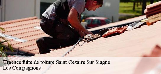 Urgence fuite de toiture  06780