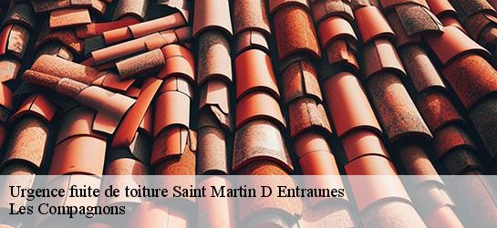 Urgence fuite de toiture  06470