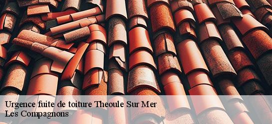 Urgence fuite de toiture  06590