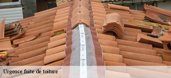 Urgence fuite de toiture  06830