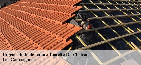 Urgence fuite de toiture  06830