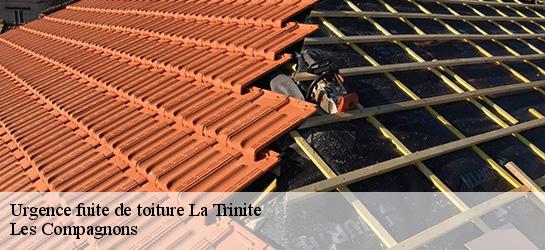 Urgence fuite de toiture  06340