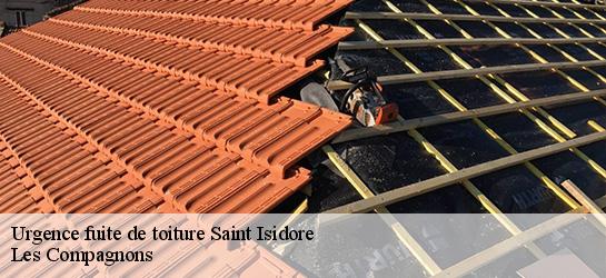 Urgence fuite de toiture  06200